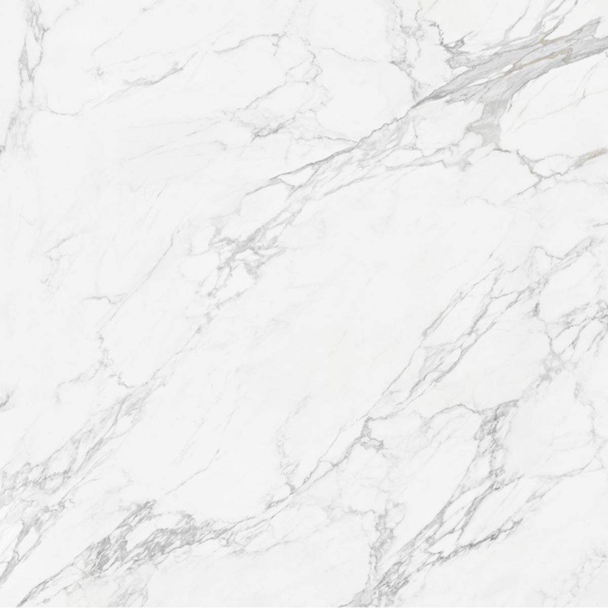 Calcatta White